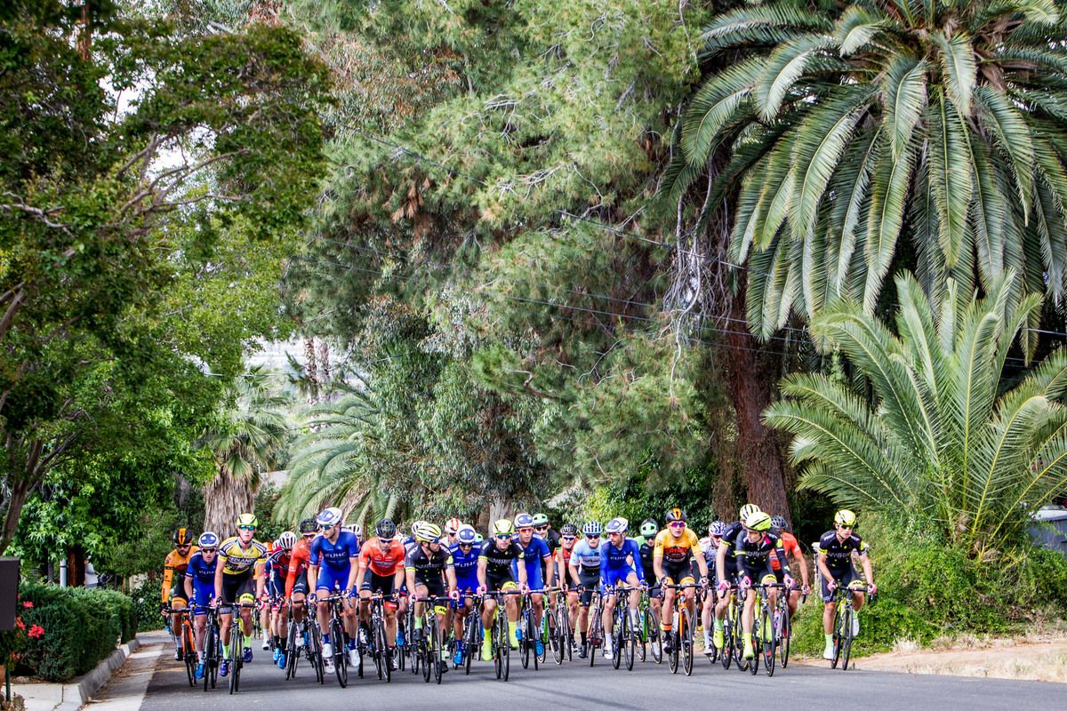 The peloton is spread across the road