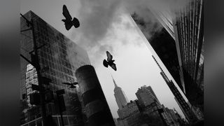 A black-and-white cityscape features the Empire State Building and flying pigeons amidst tall, reflective buildings and smoke