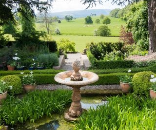 Stone water feature with evergreen planting in an English country garden