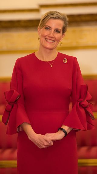 Duchess Sophie attends a reception to celebrate frontline nursing in the UK in 2018