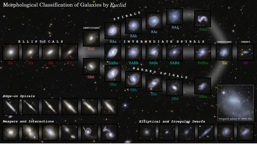 A diagram showing a &quot;galactic tuning fork&quot; demonstarting the evolution of galaxies as observed by Euclid