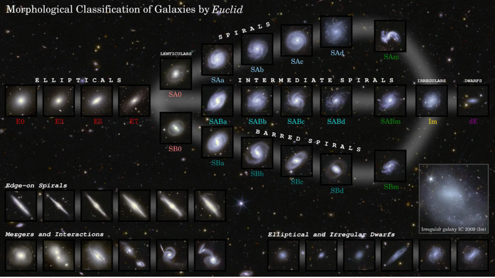 A diagram showing a "galactic tuning fork" demonstarting the evolution of galaxies as observed by Euclid