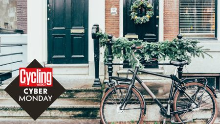 A bicycle parked at the entrance to the house decorated with Christmas tree branches.