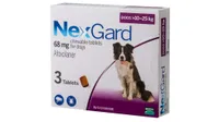 Best flea treatment for dogs: NexGard