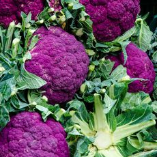 purple cauliflower and green foliage 