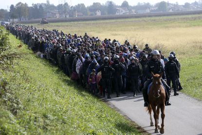 Migrants are guided to the Slovenian border.