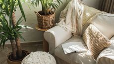 A cream arm chair in a corner surrounded by house plants, a journal open on the seat and a throw blanket thrown over the back