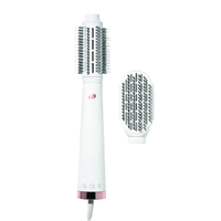T3 AireBrush Duo: was $189.99