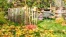 Garden with fence and wheelbarrow