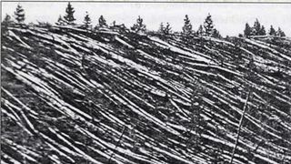 The destruction caused by the Tunguska asteroid in Siberia in 1908.