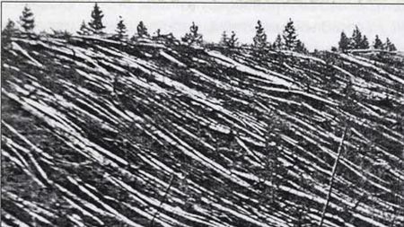 The destruction caused by the Tunguska asteroid in Siberia in 1908.