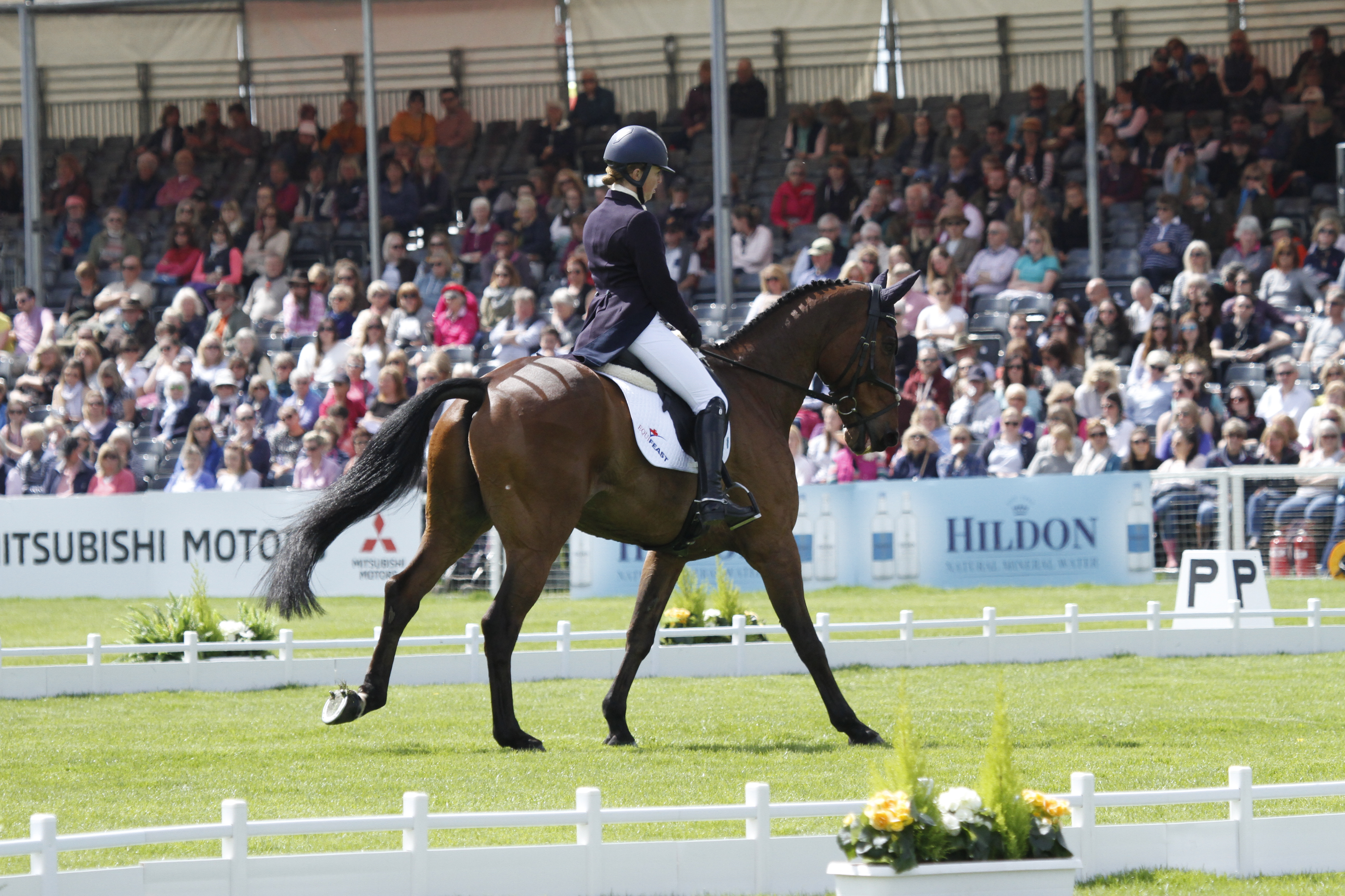 Kate Honey - how to sit deep in canter