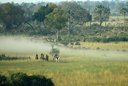 riding-holiday-in-botswana