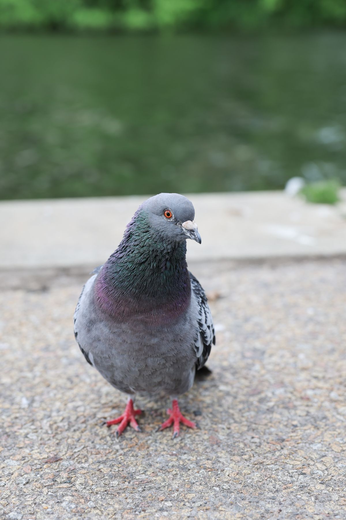 A photo taken on a Canon EOS R6 Mark III