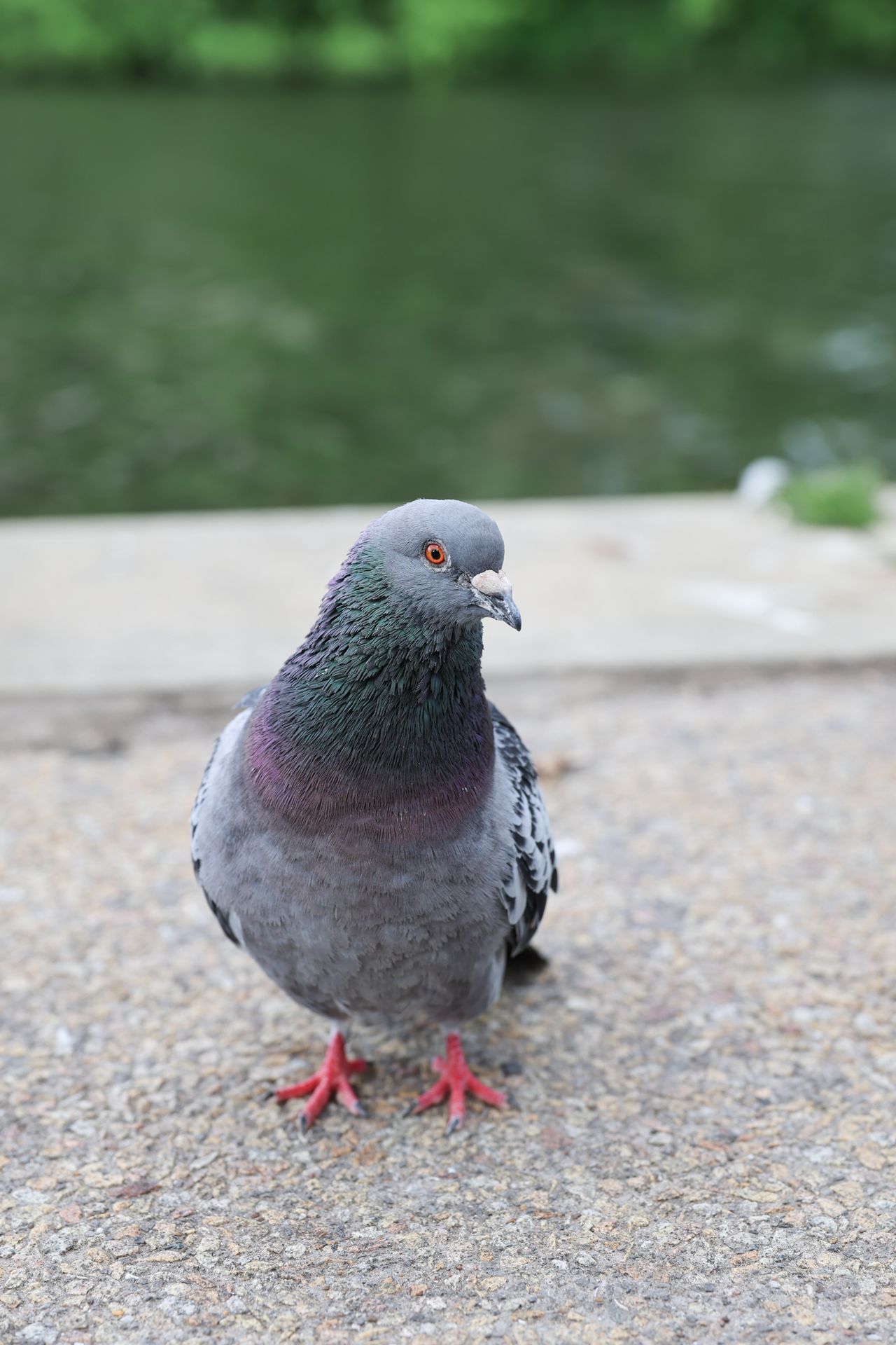 A photo taken on a Canon EOS R6 Mark III