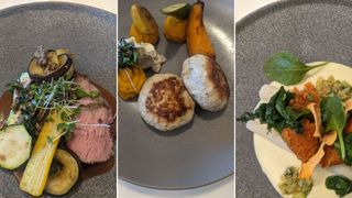 roast beef and vegetables, vegetable dumplings and meatball lunch plates at vivamayr clinic in austria