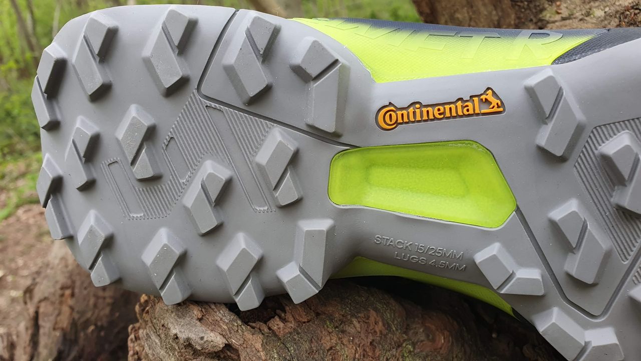 Adidas Terrex Swift R3 Gore-Tex Hiking Shoe
