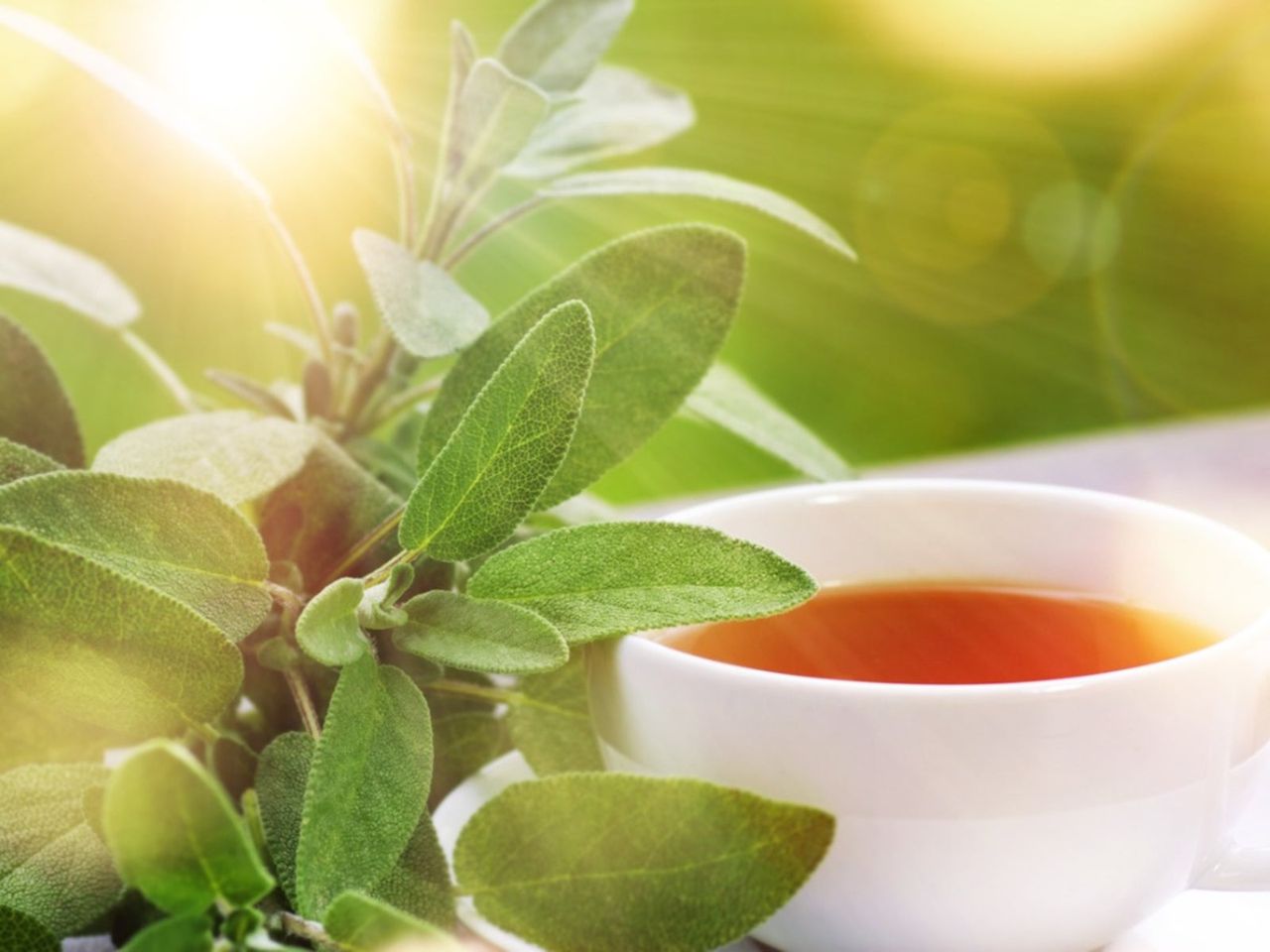 A Cup Of Herbal Tea Next To Herbs