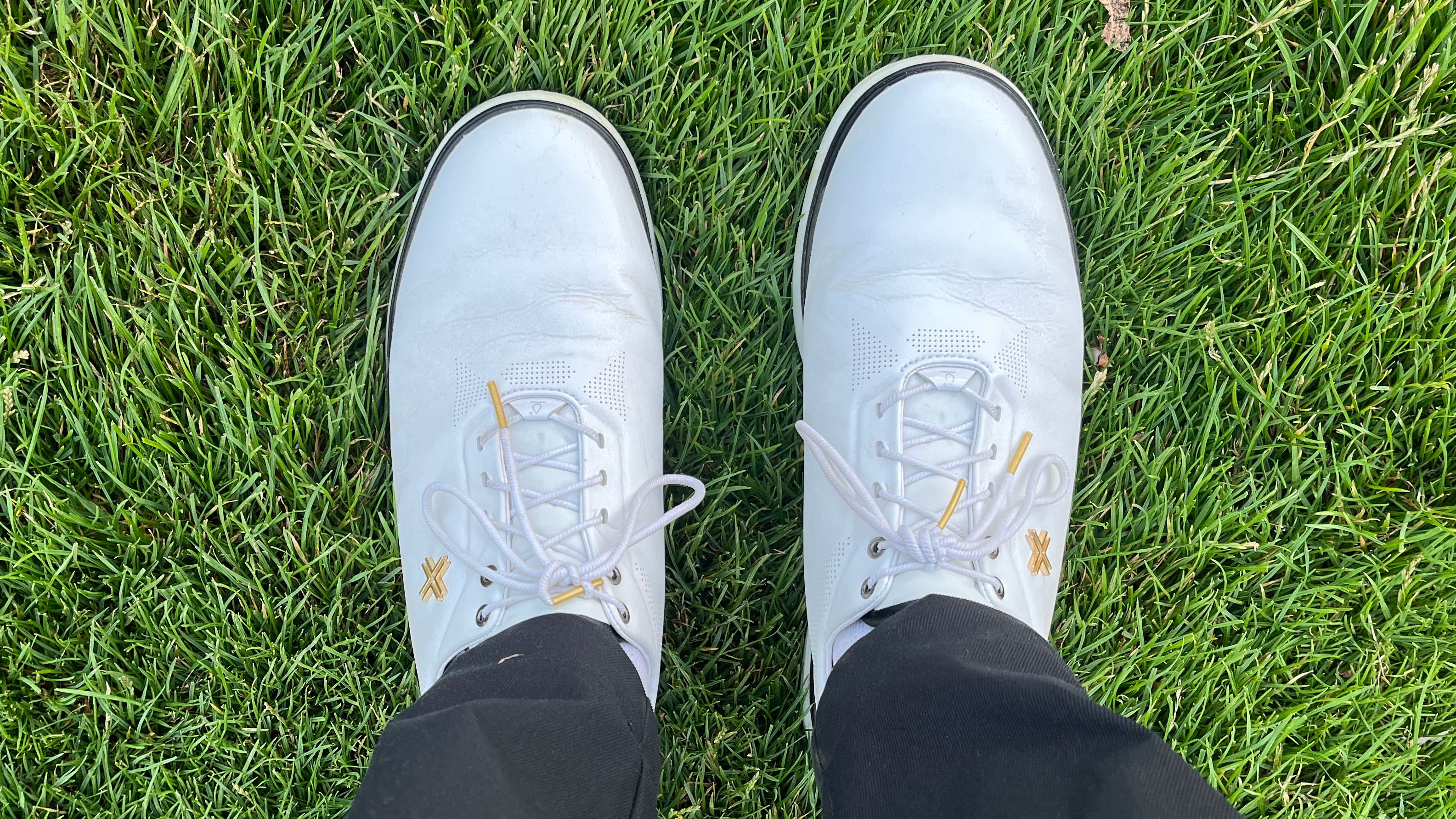 Payntr Match Day SC golf shoe review
