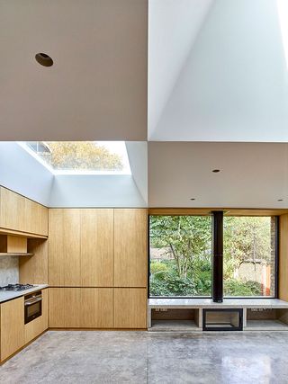 Kitchen and fireplace