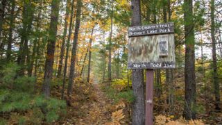 North Country Trail Marker In Michigan Wilderness