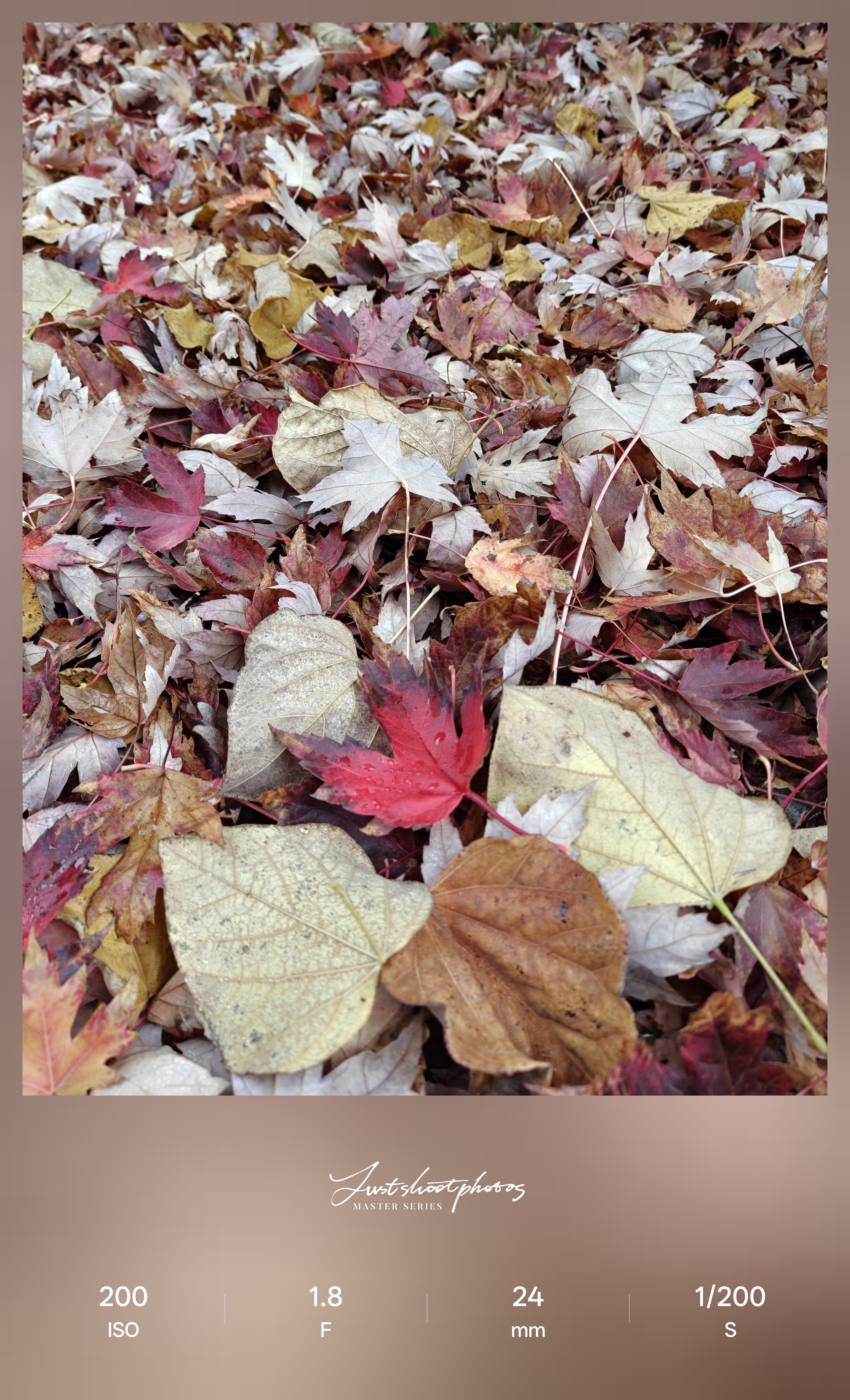 Δοκιμή κάμερας OnePlus 15 στο Android Central