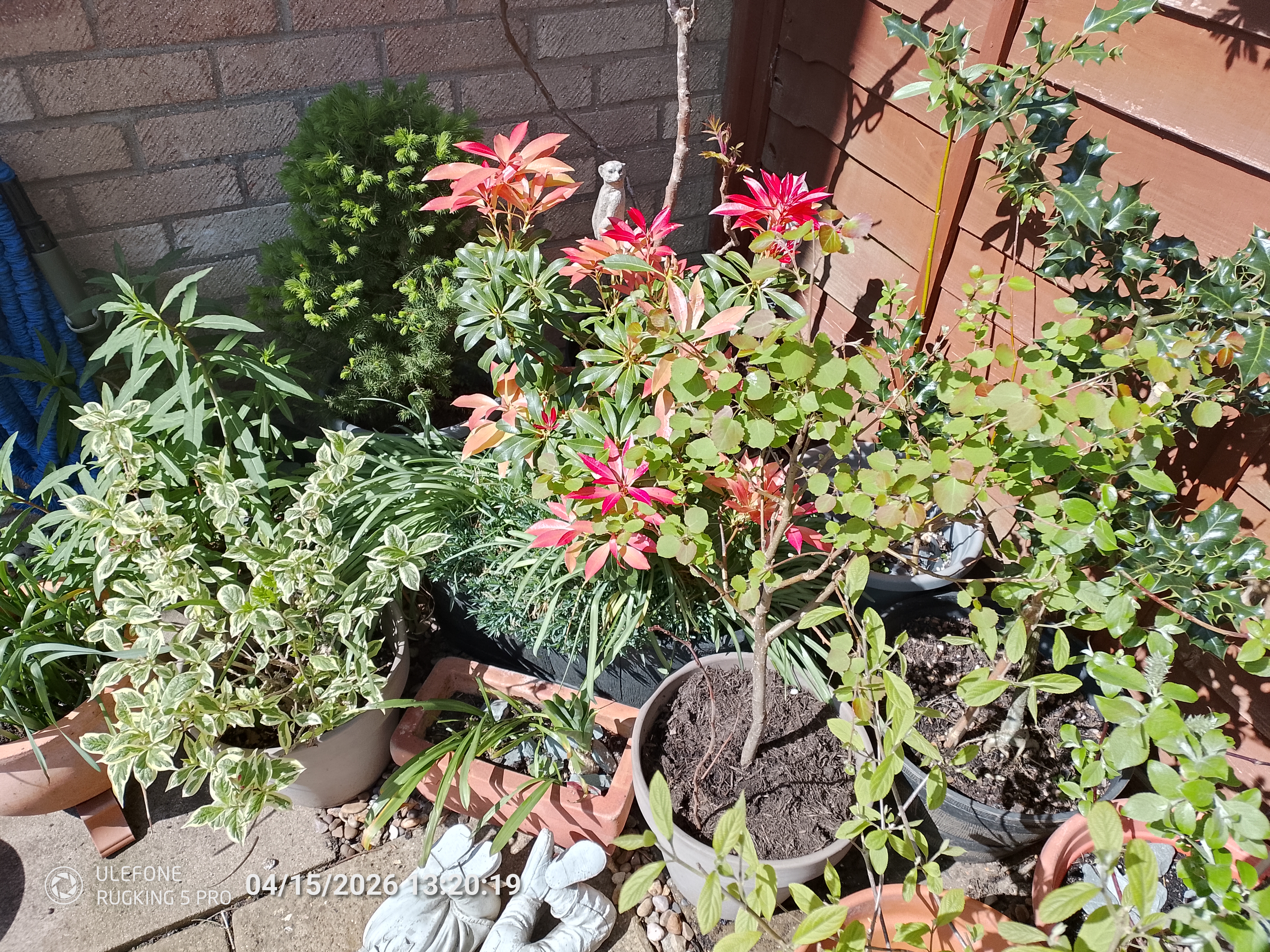 Ulefone RugKing 5 Pro Example Photos