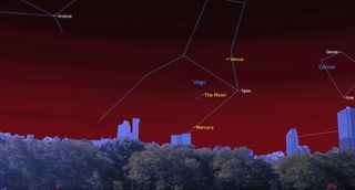 night sky november 2020 Crescent Moon between Mercury and Venus