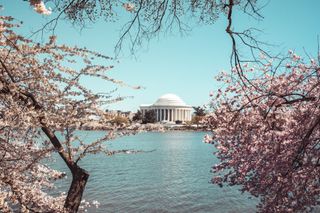 picture of Washington, DC from the Tidal Basin