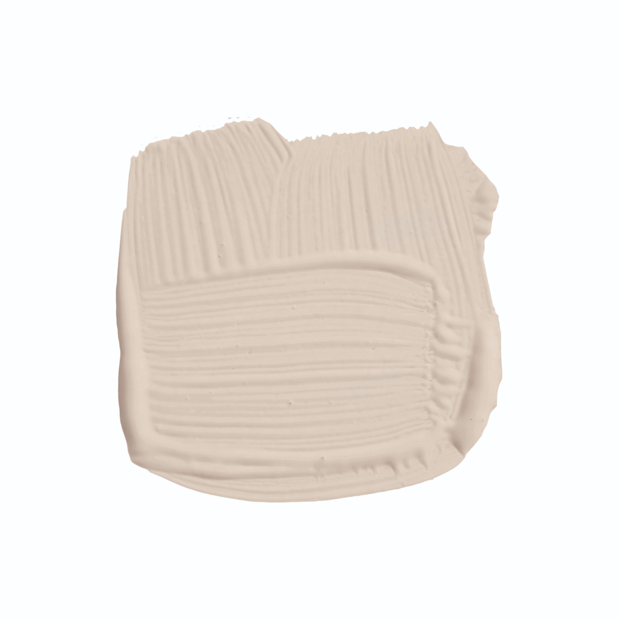Farrow & Ball Scallop 311 Brush Swatch