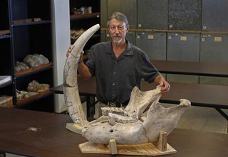 Peter Houde, of New Mexico State University, stands with the tusk from a Stegomastodon.