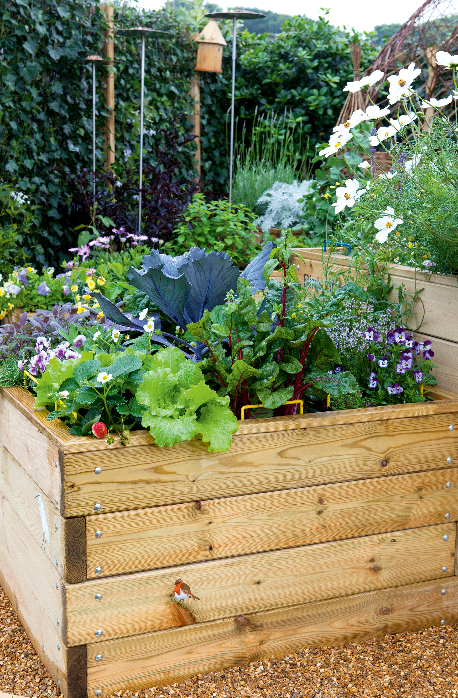 vegetable garden ideas