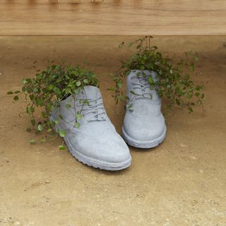 white shoe planter
