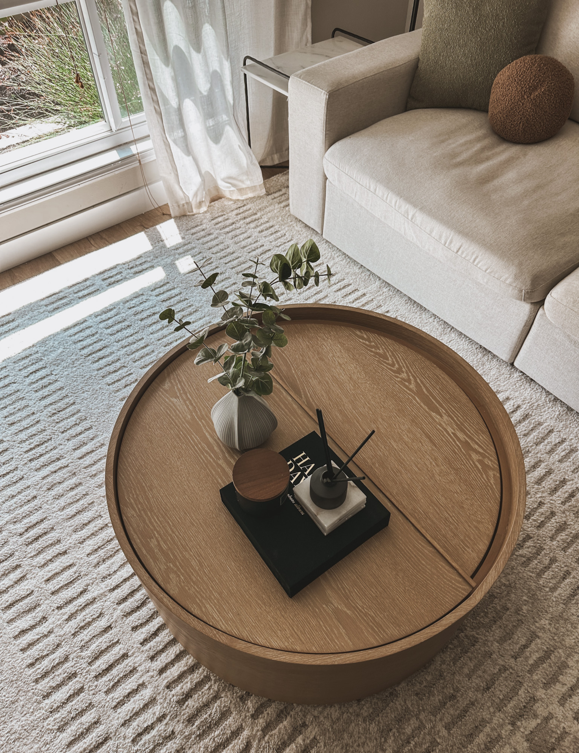 a coffee table in a living room holding a plant, a diffuser, and a book. Underneath is a tan rug