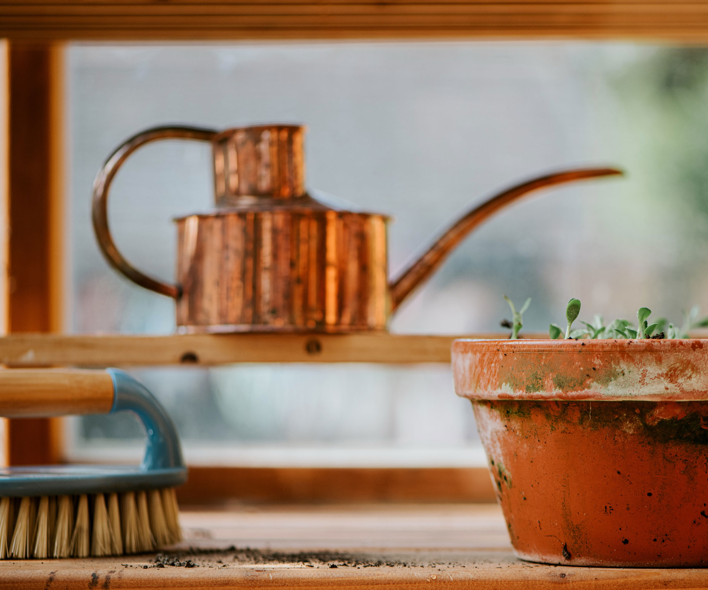 copper watering can in potted shed with terracotta pot plant and hand brush