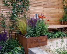 slatted wooden fence with climbing plants, raised bed planted with flowers, and wooden garden bench