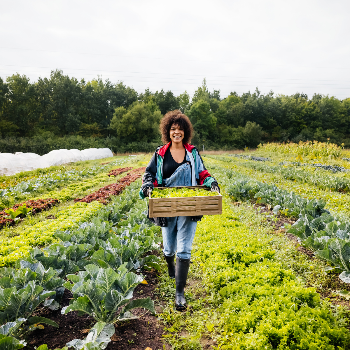 farm to face beauty 