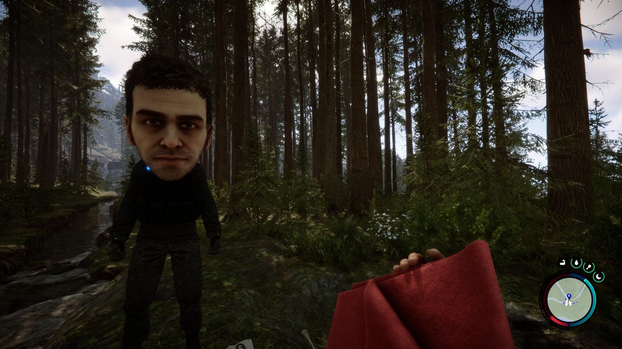 Sons of the Forest