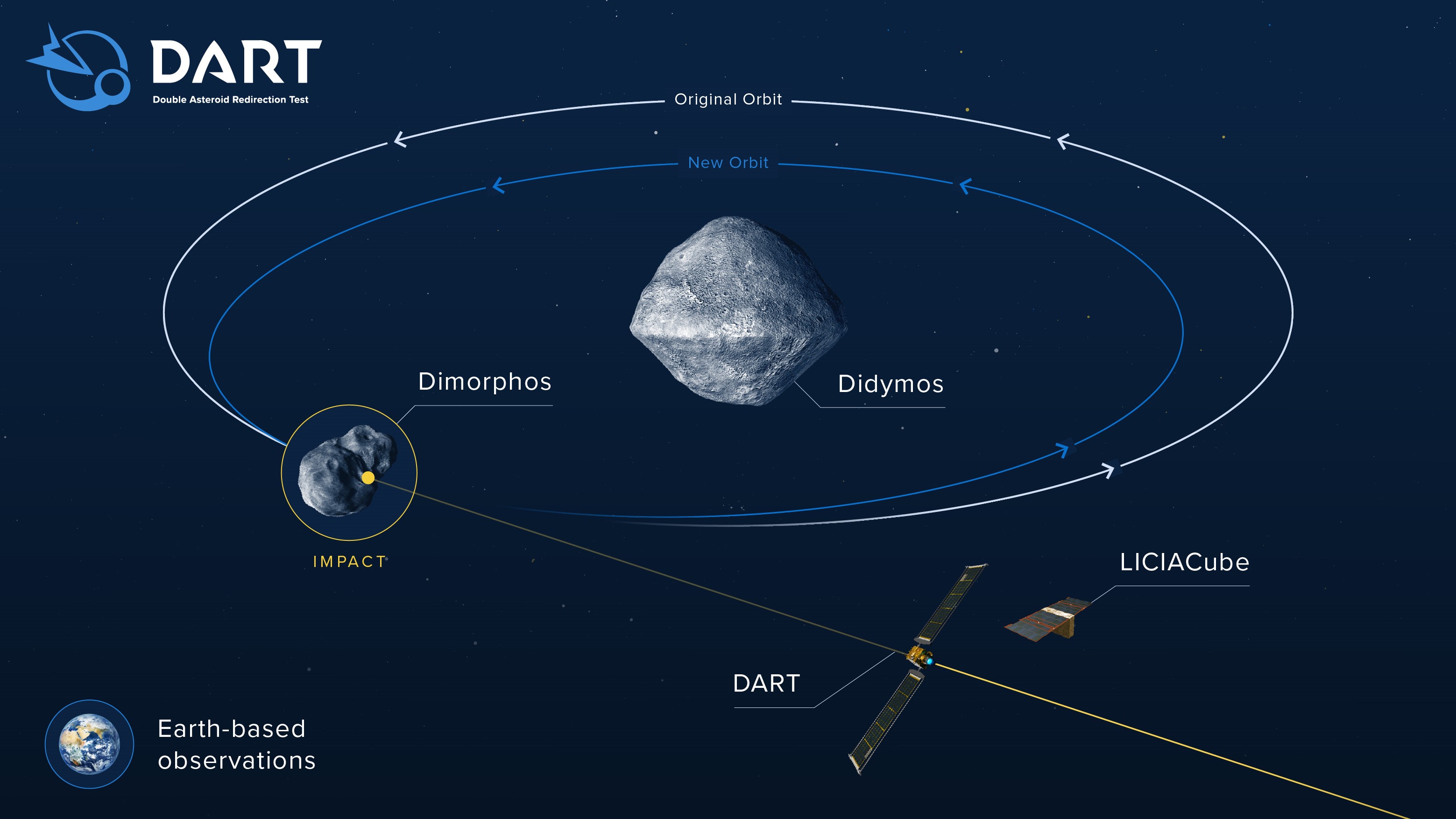 DART will crash into Dimorphos causing a change to the moonlet's orbit.