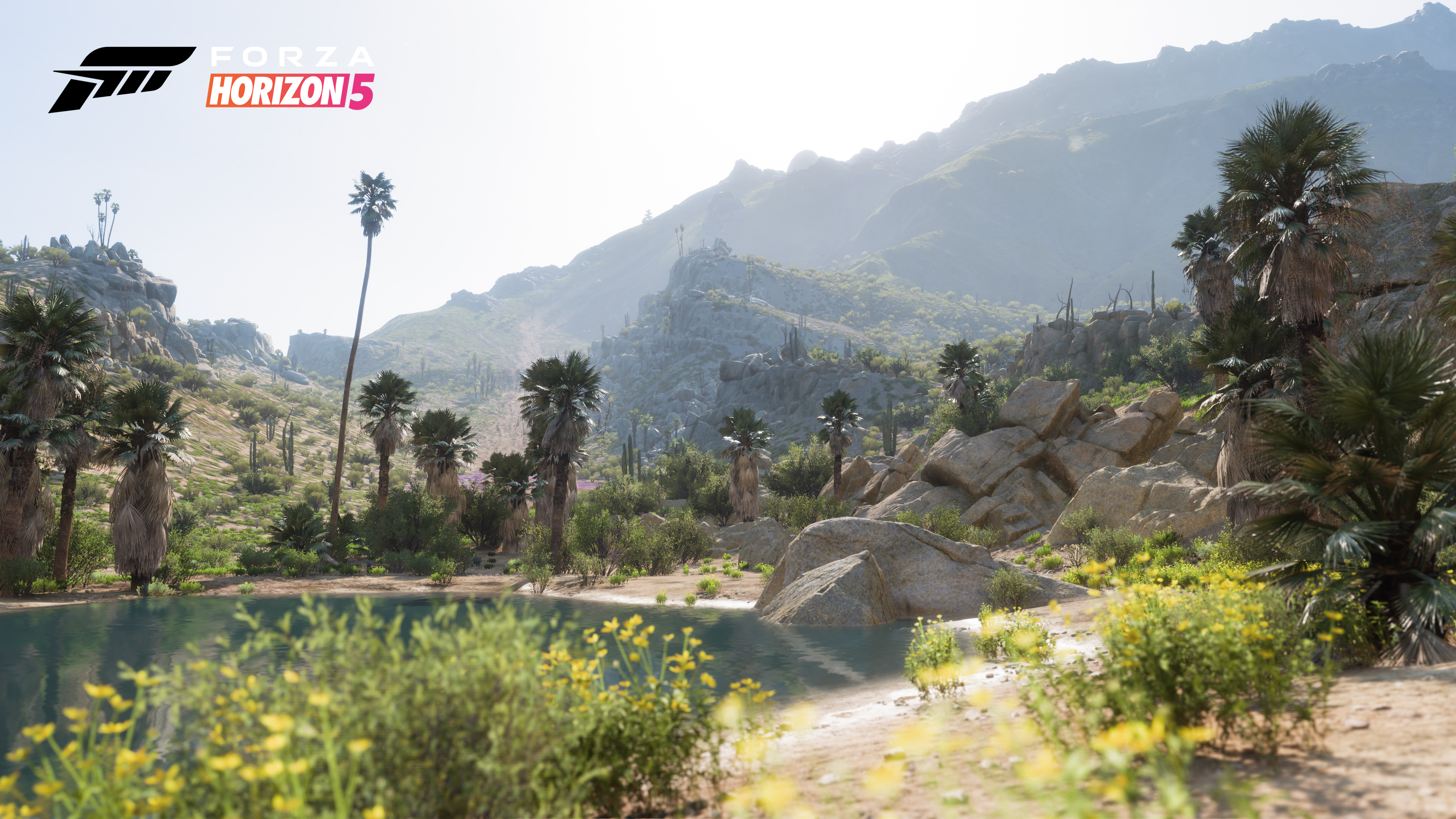 Forza Horizon 5 living desert