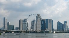 Singapore Flyer observation wheel pictured in foreground with city skyline behind.