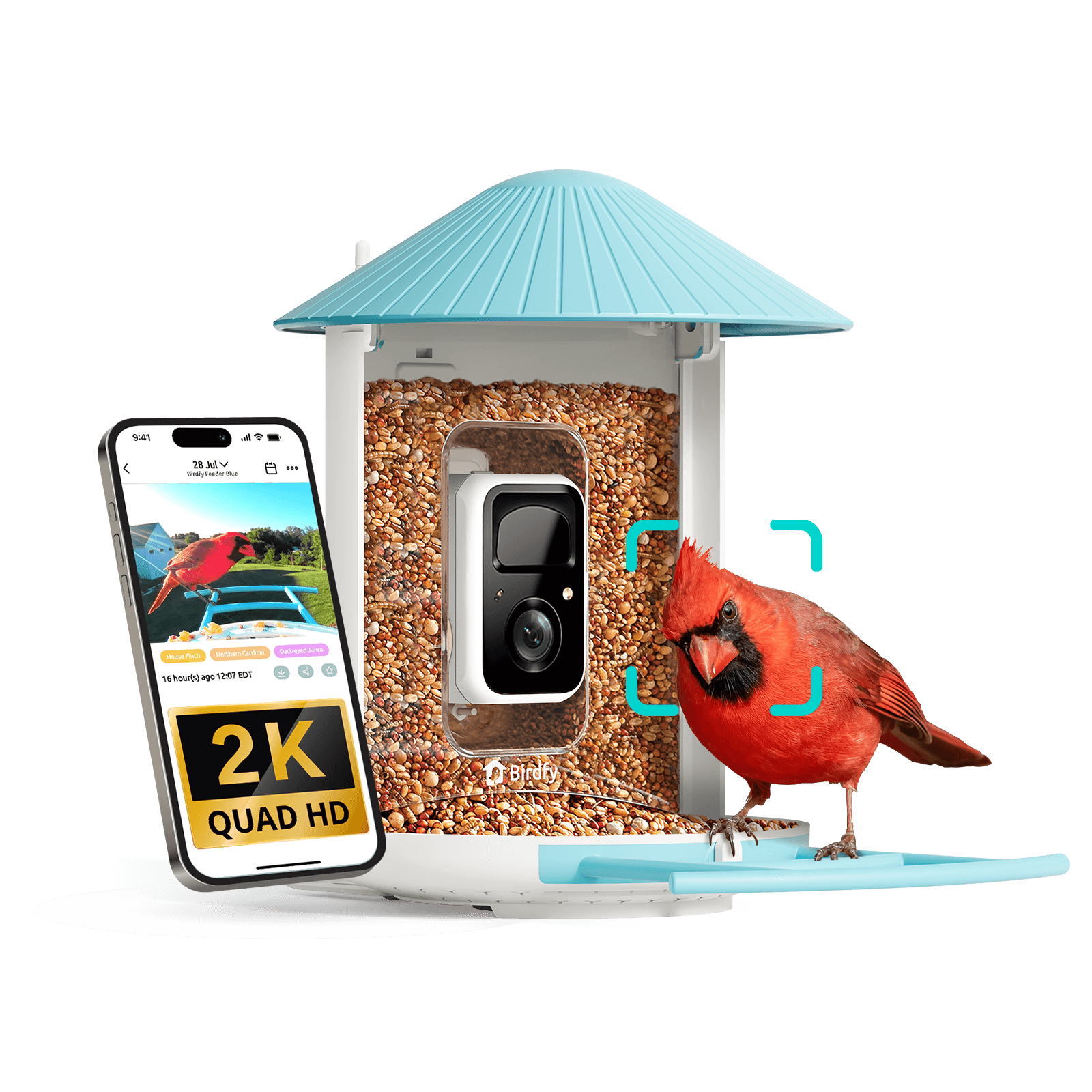 Bird Feeder Ai Version: Birdfy Smart Camera Bird Feeder