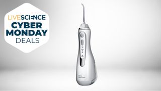 Waterpik cordless select cyber monday deal