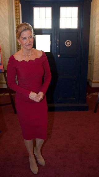 Duchess Sophie hosts a reception for the 50th anniversary of Doctor Who