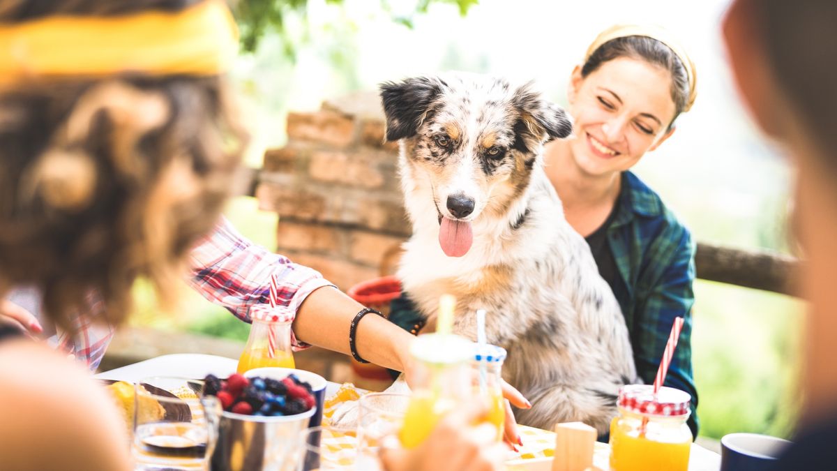 Group of friends eating with their dog