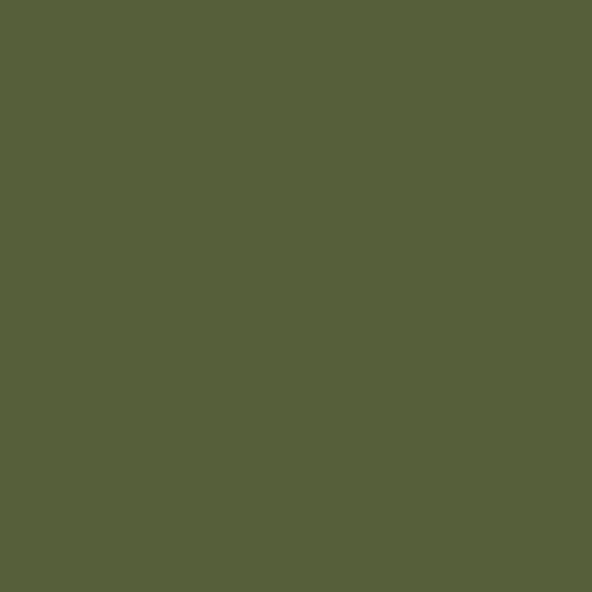 Little Greene, Jewel Beetle