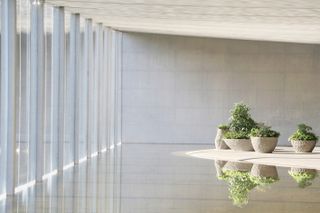 minimalist white interior with plants at the water museum in china