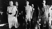   Night Of The Living Dead