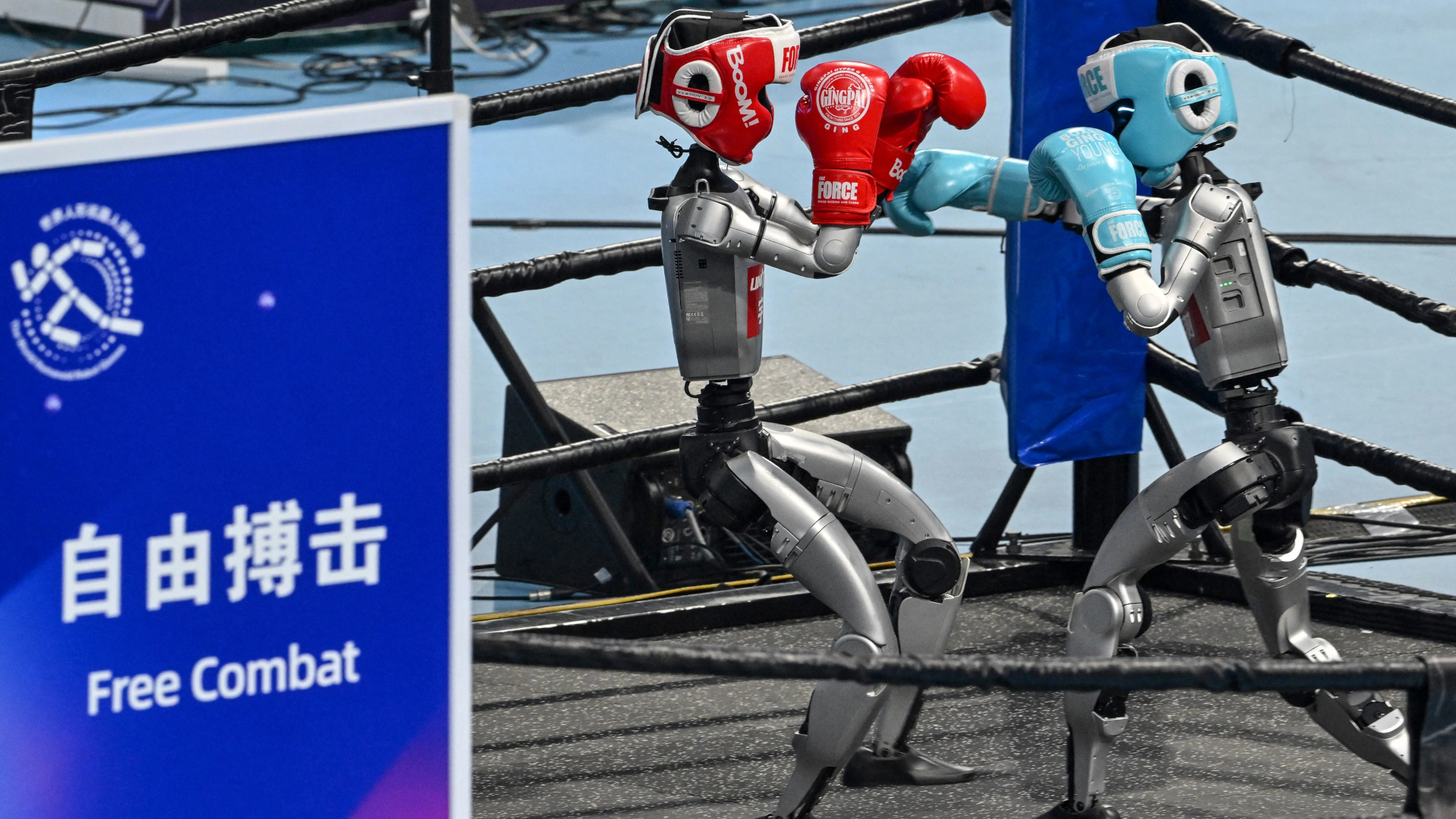 Robot Games