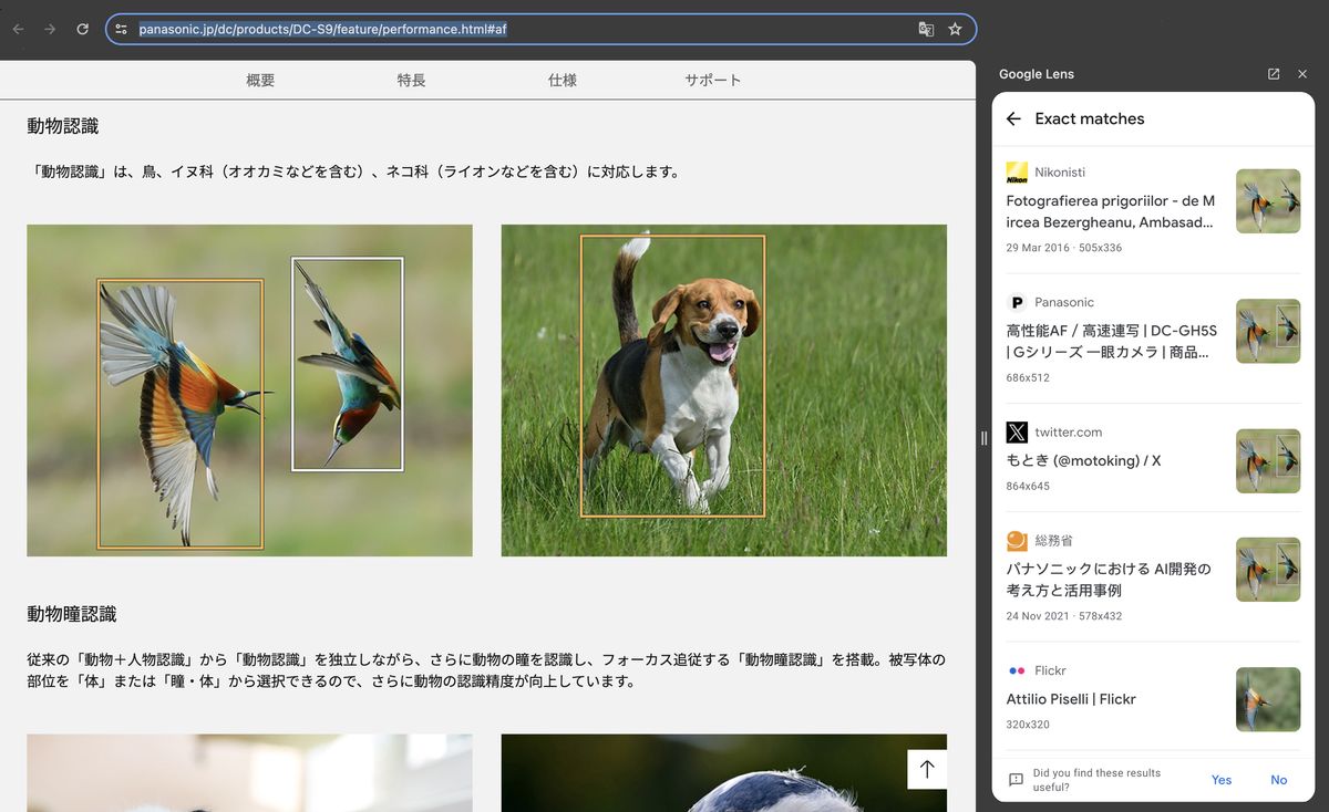 Panasonic photo scandal: 77 cameras and lenses were marketed with